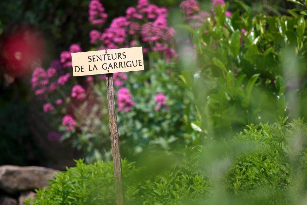 Maison De Village La Clemaline Figanières Buitenkant foto